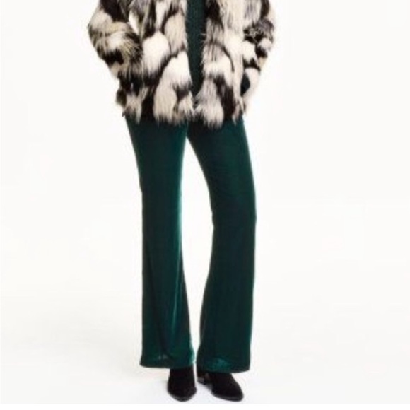 Forest green velvet pants - Picture 1 of 2